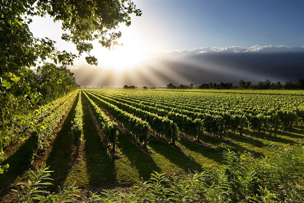 VINITALY,  ALLEANZA COOPERATIVE, IL VINO PRENDE LA STRADA DELL’ORIENTE: CRESCITA A DUE CIFRE IN RUSSIA, GIAPPONE E CINA